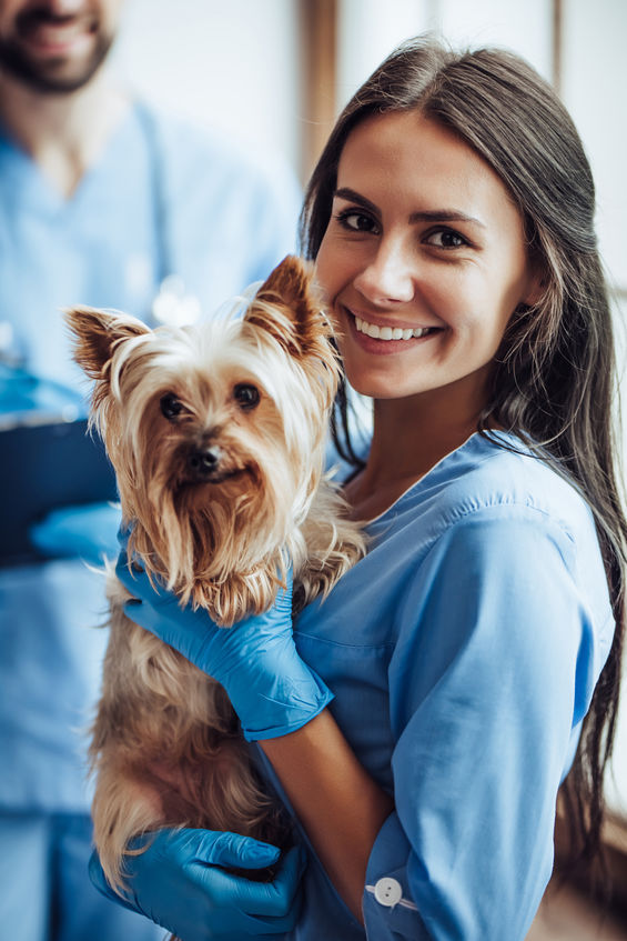 Girl with dog